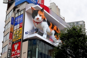 今話題の新宿駅の大型デジタルサイネージに現れる3Dの巨大猫